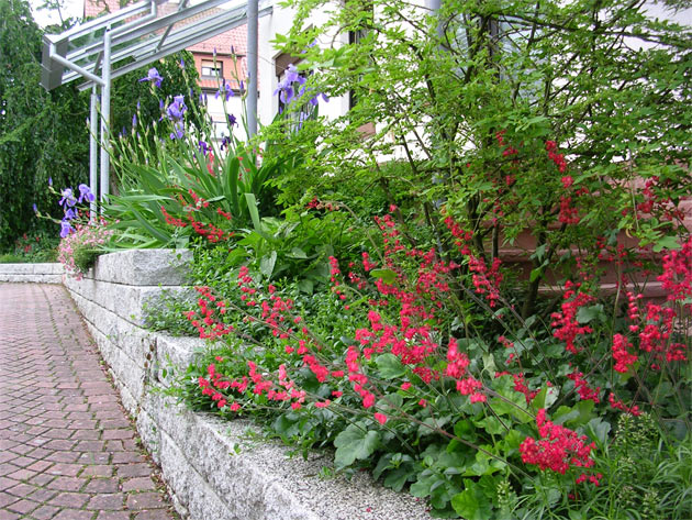 Gartenbau, Landschaftsbau, Hausgarten, Trockenmauern, Sichtschutz, Steingarten, Pflanzungen, Garten-Umgestaltungen, Garten-Neuanlagen, Sitzmauern, Polygonalbeläge, Teich, Terrassen, mediterraner Garten, Baumfällungen, Gartenpflege
