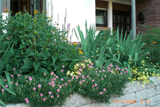 Gartenbau, Landschaftsbau, Hausgarten, Trockenmauern, Sichtschutz, Steingarten, Pflanzungen, Garten-Umgestaltungen, Garten-Neuanlagen, Sitzmauern, Polygonalbeläge, Teich, Terrassen, mediterraner Garten, Baumfällungen, Gartenpflege