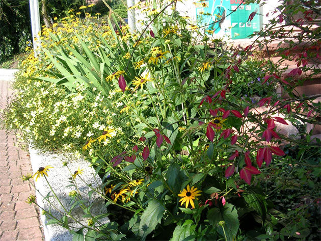 Gartenbau, Landschaftsbau, Hausgarten, Trockenmauern, Sichtschutz, Steingarten, Pflanzungen, Garten-Umgestaltungen, Garten-Neuanlagen, Sitzmauern, Polygonalbeläge, Teich, Terrassen, mediterraner Garten, Baumfällungen, Gartenpflege