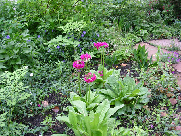Gartenbau, Landschaftsbau, Hausgarten, Trockenmauern, Sichtschutz, Steingarten, Pflanzungen, Garten-Umgestaltungen, Garten-Neuanlagen, Sitzmauern, Polygonalbeläge, Teich, Terrassen, mediterraner Garten, Baumfällungen, Gartenpflege