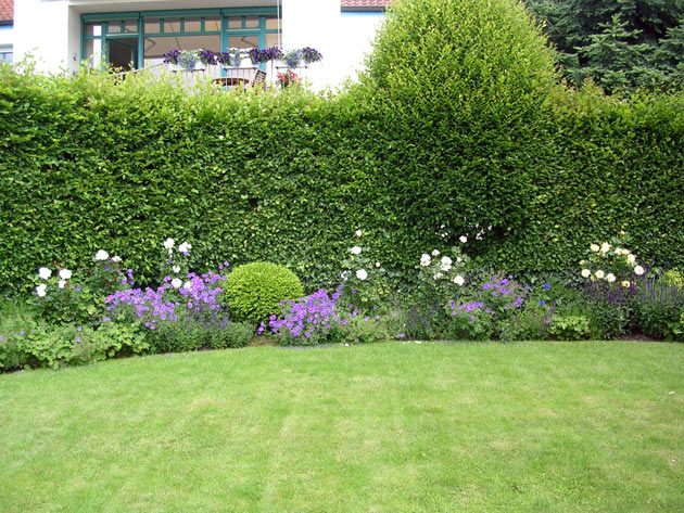 Gartenbau, Landschaftsbau, Hausgarten, Trockenmauern, Sichtschutz, Steingarten, Pflanzungen, Garten-Umgestaltungen, Garten-Neuanlagen, Sitzmauern, Polygonalbeläge, Teich, Terrassen, mediterraner Garten, Baumfällungen, Gartenpflege