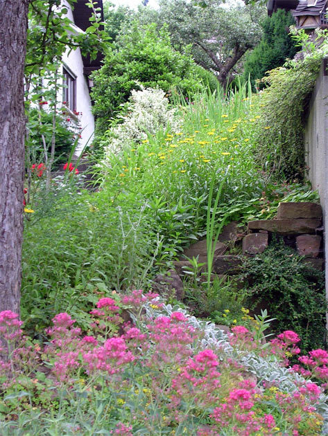 Gartenbau, Landschaftsbau, Hausgarten, Trockenmauern, Sichtschutz, Steingarten, Pflanzungen, Garten-Umgestaltungen, Garten-Neuanlagen, Sitzmauern, Polygonalbeläge, Teich, Terrassen, mediterraner Garten, Baumfällungen, Gartenpflege