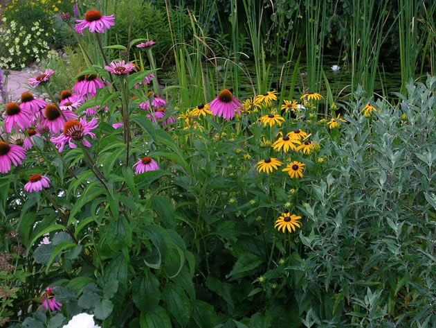 Gartenbau, Landschaftsbau, Hausgarten, Trockenmauern, Sichtschutz, Steingarten, Pflanzungen, Garten-Umgestaltungen, Garten-Neuanlagen, Sitzmauern, Polygonalbeläge, Teich, Terrassen, mediterraner Garten, Baumfällungen, Gartenpflege