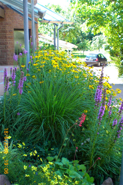 Gartenbau, Landschaftsbau, Hausgarten, Trockenmauern, Sichtschutz, Steingarten, Pflanzungen, Garten-Umgestaltungen, Garten-Neuanlagen, Sitzmauern, Polygonalbeläge, Teich, Terrassen, mediterraner Garten, Baumfällungen, Gartenpflege