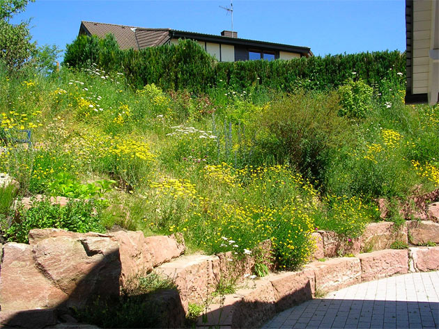 Gartenbau, Landschaftsbau, Hausgarten, Trockenmauern, Sichtschutz, Steingarten, Pflanzungen, Garten-Umgestaltungen, Garten-Neuanlagen, Sitzmauern, Polygonalbelge, Teich, Terrassen, mediterraner Garten, Baumfllungen, Gartenpflege