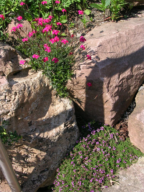 Gartenbau, Landschaftsbau, Hausgarten, Trockenmauern, Sichtschutz, Steingarten, Pflanzungen, Garten-Umgestaltungen, Garten-Neuanlagen, Sitzmauern, Polygonalbelge, Teich, Terrassen, mediterraner Garten, Baumfllungen, Gartenpflege