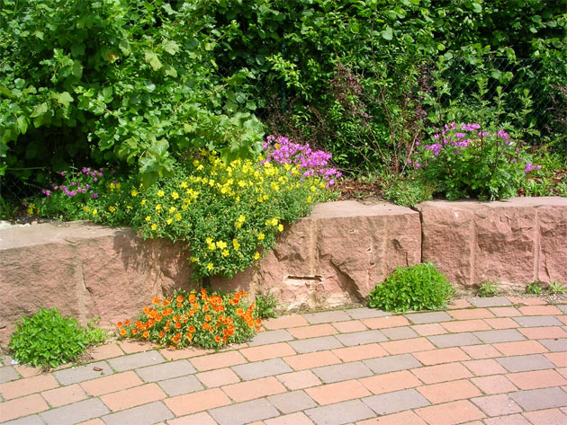 Gartenbau, Landschaftsbau, Hausgarten, Trockenmauern, Sichtschutz, Steingarten, Pflanzungen, Garten-Umgestaltungen, Garten-Neuanlagen, Sitzmauern, Polygonalbeläge, Teich, Terrassen, mediterraner Garten, Baumfällungen, Gartenpflege