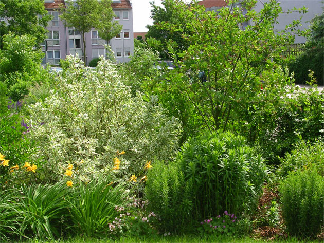 Gartenbau, Landschaftsbau, Hausgarten, Trockenmauern, Sichtschutz, Steingarten, Pflanzungen, Garten-Umgestaltungen, Garten-Neuanlagen, Sitzmauern, Polygonalbeläge, Teich, Terrassen, mediterraner Garten, Baumfällungen, Gartenpflege