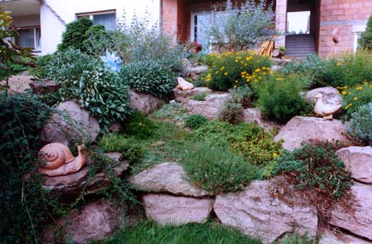 Steingarten im Oktober. Viele Steingärten haben Ihre Hauptblütezeit im Frühjahr, der Sommer- und Herbstaspekt wird bei der Planung der Pflanzung oft vernachlässigt. Gartenbau, Landschaftsbau, Hausgarten, Trockenmauern, Sichtschutz, Steingarten, Pflanzungen, Garten-Umgestaltungen, Garten-Neuanlagen, Sitzmauern, Polygonalbeläge, Teich, Terrassen, mediterraner Garten, Baumfällungen, Gartenpflege