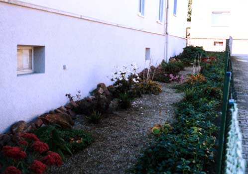 Blick von der anderen Seite. Das Foto entstand im November. Gartenbau, Landschaftsbau, Hausgarten, Trockenmauern, Sichtschutz, Steingarten, Pflanzungen, Garten-Umgestaltungen, Garten-Neuanlagen, Sitzmauern, Polygonalbeläge, Teich, Terrassen, mediterraner Garten, Baumfällungen, Gartenpflege