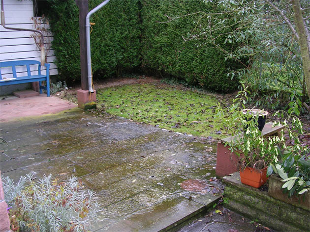 Gartenbau, Landschaftsbau, Hausgarten, Trockenmauern, Sichtschutz, Steingarten, Pflanzungen, Garten-Umgestaltungen, Garten-Neuanlagen, Sitzmauern, Polygonalbelge, Teich, Terrassen, mediterraner Garten, Baumfllungen, Gartenpflege