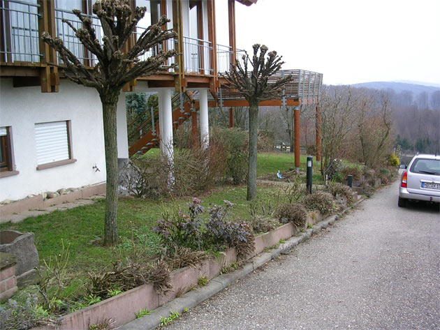 Gartenbau, Landschaftsbau, Hausgarten, Trockenmauern, Sichtschutz, Steingarten, Pflanzungen, Garten-Umgestaltungen, Garten-Neuanlagen, Sitzmauern, Polygonalbelge, Teich, Terrassen, mediterraner Garten, Baumfllungen, Gartenpflege
