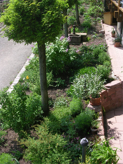 Gartenbau, Landschaftsbau, Hausgarten, Trockenmauern, Sichtschutz, Steingarten, Pflanzungen, Garten-Umgestaltungen, Garten-Neuanlagen, Sitzmauern, Polygonalbelge, Teich, Terrassen, mediterraner Garten, Baumfllungen, Gartenpflege