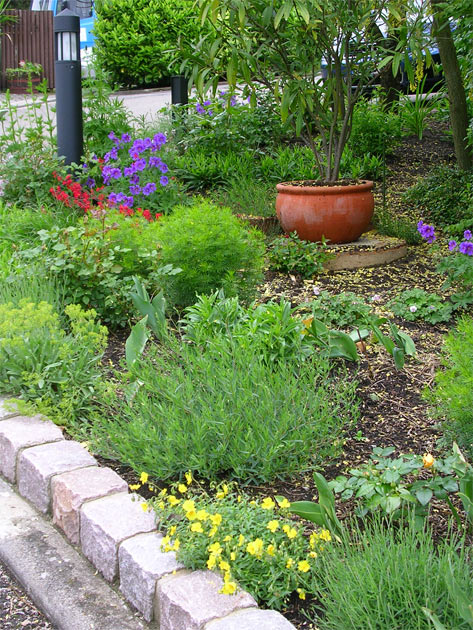 Gartenbau, Landschaftsbau, Hausgarten, Trockenmauern, Sichtschutz, Steingarten, Pflanzungen, Garten-Umgestaltungen, Garten-Neuanlagen, Sitzmauern, Polygonalbelge, Teich, Terrassen, mediterraner Garten, Baumfllungen, Gartenpflege