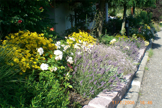 Gartenbau, Landschaftsbau, Hausgarten, Trockenmauern, Sichtschutz, Steingarten, Pflanzungen, Garten-Umgestaltungen, Garten-Neuanlagen, Sitzmauern, Polygonalbelge, Teich, Terrassen, mediterraner Garten, Baumfllungen, Gartenpflege