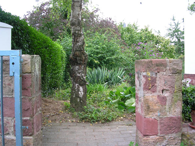 Gartenbau, Landschaftsbau, Hausgarten, Trockenmauern, Sichtschutz, Steingarten, Pflanzungen, Garten-Umgestaltungen, Garten-Neuanlagen, Sitzmauern, Polygonalbelge, Teich, Terrassen, mediterraner Garten, Baumfllungen, Gartenpflege