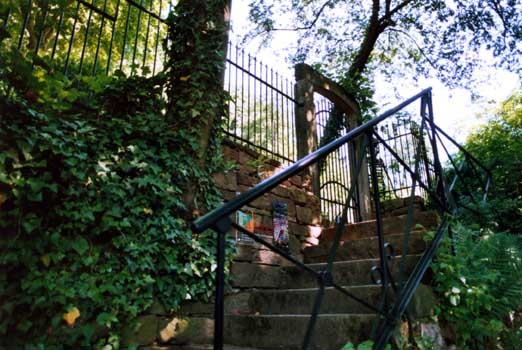 Gartenbau, Landschaftsbau, Hausgarten, Trockenmauern, Sichtschutz, Steingarten, Pflanzungen, Garten-Umgestaltungen, Garten-Neuanlagen, Sitzmauern, Polygonalbeläge, Teich, Terrassen, mediterraner Garten, Baumfällungen, Gartenpflege