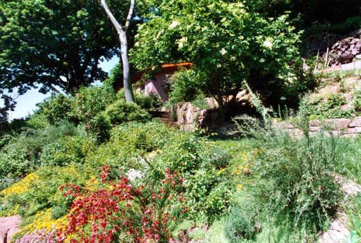 Gartenbau, Landschaftsbau, Hausgarten, Trockenmauern, Sichtschutz, Steingarten, Pflanzungen, Garten-Umgestaltungen, Garten-Neuanlagen, Sitzmauern, Polygonalbeläge, Teich, Terrassen, mediterraner Garten, Baumfällungen, Gartenpflege