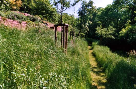 Gartenbau, Landschaftsbau, Hausgarten, Trockenmauern, Sichtschutz, Steingarten, Pflanzungen, Garten-Umgestaltungen, Garten-Neuanlagen, Sitzmauern, Polygonalbeläge, Teich, Terrassen, mediterraner Garten, Baumfällungen, Gartenpflege