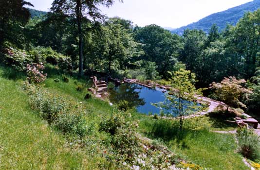 Gartenbau, Landschaftsbau, Hausgarten, Trockenmauern, Sichtschutz, Steingarten, Pflanzungen, Garten-Umgestaltungen, Garten-Neuanlagen, Sitzmauern, Polygonalbeläge, Teich, Terrassen, mediterraner Garten, Baumfällungen, Gartenpflege