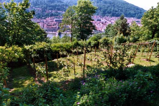 Gartenbau, Landschaftsbau, Hausgarten, Trockenmauern, Sichtschutz, Steingarten, Pflanzungen, Garten-Umgestaltungen, Garten-Neuanlagen, Sitzmauern, Polygonalbeläge, Teich, Terrassen, mediterraner Garten, Baumfällungen, Gartenpflege