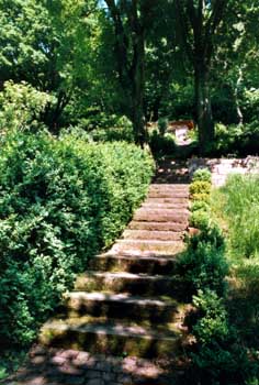 Gartenbau, Landschaftsbau, Hausgarten, Trockenmauern, Sichtschutz, Steingarten, Pflanzungen, Garten-Umgestaltungen, Garten-Neuanlagen, Sitzmauern, Polygonalbeläge, Teich, Terrassen, mediterraner Garten, Baumfällungen, Gartenpflege