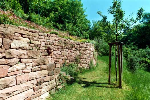 Gartenbau, Landschaftsbau, Hausgarten, Trockenmauern, Sichtschutz, Steingarten, Pflanzungen, Garten-Umgestaltungen, Garten-Neuanlagen, Sitzmauern, Polygonalbeläge, Teich, Terrassen, mediterraner Garten, Baumfällungen, Gartenpflege