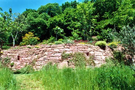 Gartenbau, Landschaftsbau, Hausgarten, Trockenmauern, Sichtschutz, Steingarten, Pflanzungen, Garten-Umgestaltungen, Garten-Neuanlagen, Sitzmauern, Polygonalbeläge, Teich, Terrassen, mediterraner Garten, Baumfällungen, Gartenpflege