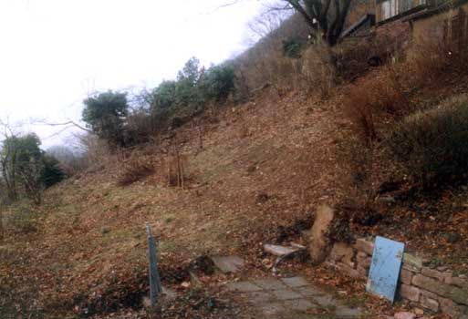 Gartenbau, Landschaftsbau, Hausgarten, Trockenmauern, Sichtschutz, Steingarten, Pflanzungen, Garten-Umgestaltungen, Garten-Neuanlagen, Sitzmauern, Polygonalbelge, Teich, Terrassen, mediterraner Garten, Baumfllungen, Gartenpflege