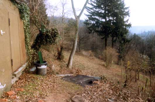 Gartenbau, Landschaftsbau, Hausgarten, Trockenmauern, Sichtschutz, Steingarten, Pflanzungen, Garten-Umgestaltungen, Garten-Neuanlagen, Sitzmauern, Polygonalbelge, Teich, Terrassen, mediterraner Garten, Baumfllungen, Gartenpflege