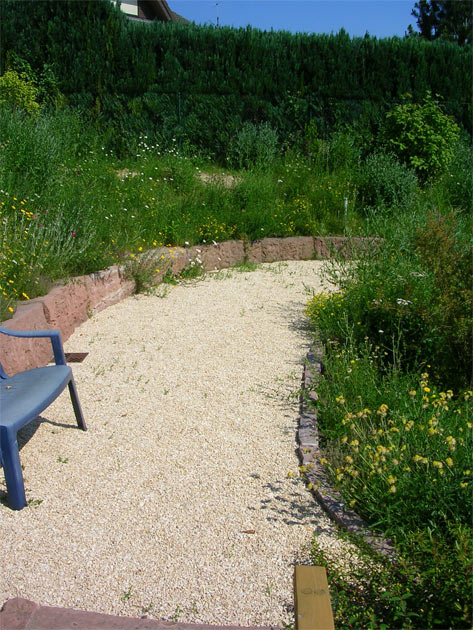 Gartenbau, Landschaftsbau, Hausgarten, Trockenmauern, Sichtschutz, Steingarten, Pflanzungen, Garten-Umgestaltungen, Garten-Neuanlagen, Sitzmauern, Polygonalbeläge, Teich, Terrassen, mediterraner Garten, Baumfällungen, Gartenpflege