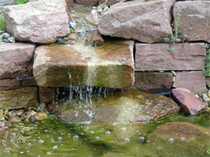 Wasser im Garten